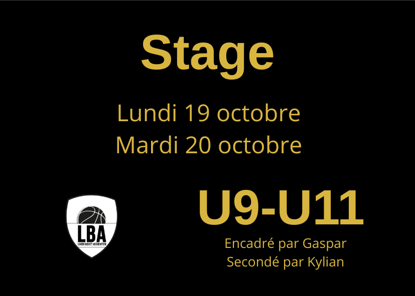 STAGE Basket Toussaint 2026 U9-U11